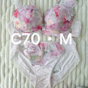 Wacoal サルート 上下セット