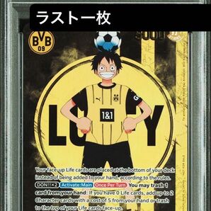 【PSA10】BVB ルフィ ドルトムント ドイツ プロモ ワンピース