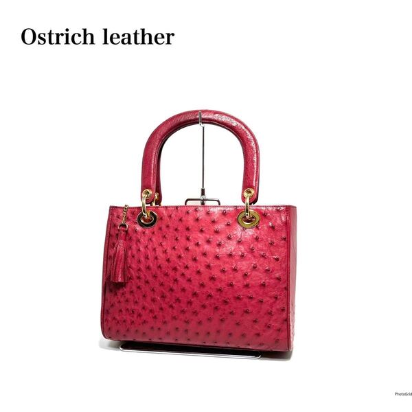 【美品】Ostrich leather オーストリッチ ダチョウ革/ゴールド金具/レッド系色/鞄 ハンドバッグ パーティーバッグ