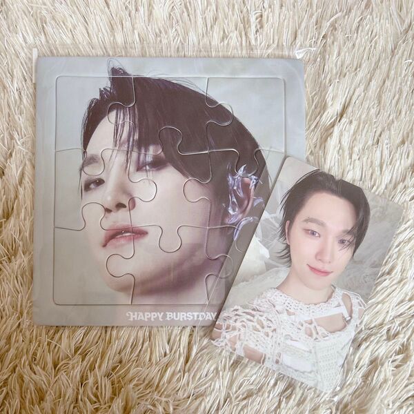 SEVENTEEN HAPPY BURSTDAY パズル トレカ ディノ