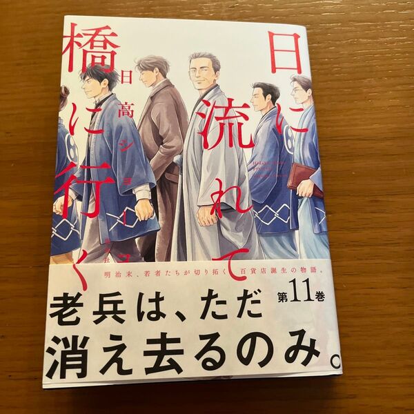 日に流れて橋に行く 11 (愛蔵版コミックス) 日高ショーコ/著