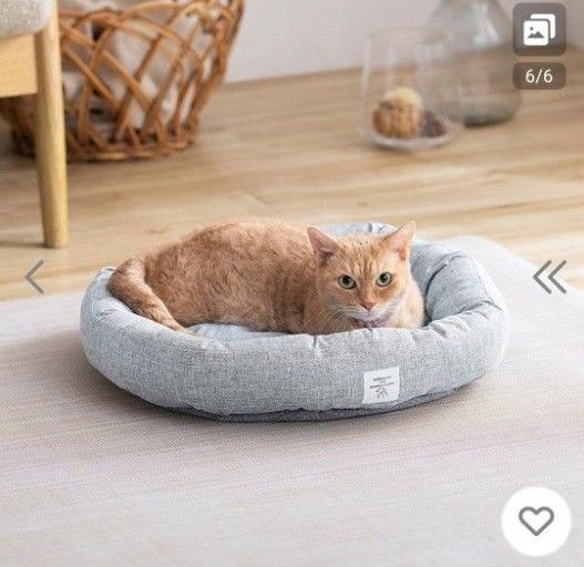 ペットベッド 犬 ベッド 猫ベッド 猫 夏 冷感 クールペットベッド ラウンド型 クッション 接触冷感 アイリスオーヤマ グレー