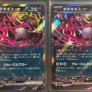 キチキギスex RR ポケモンカードゲーム