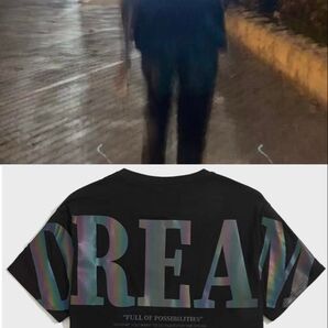 即日完売!大人気!やりらにまじ人気!!デカロゴ リフレクターTシャツ ギラギラ アダムスジャグラー ファットランク