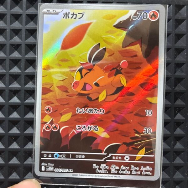 ポケモンカード ポカブAR