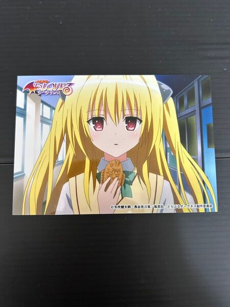 【ネコポス対応】 ToLOVEるダークネス 金色の闇 ブロマイド