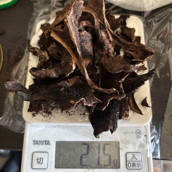 2024 乾燥香茸 20g
