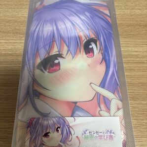 あいりすミスティリア! ヴァレリア 抱き枕カバー べっかんこう ライクラ 正規品 オーガスト ピクチャープレート2種付属