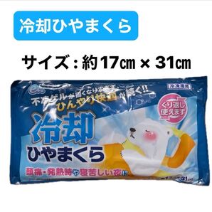 新品 eクール 冷却 ひやまくら 快適まくら 冷凍庫用 暑さ対策 冷却グッズ 保冷枕 熱中症対策 繰り返し使用可