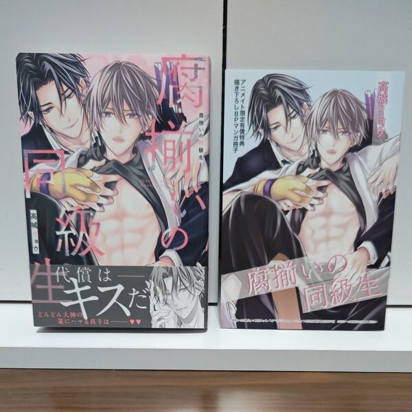 BLコミック 腐揃いの同級生 高城リョウ/アニメイト限定小冊子付き