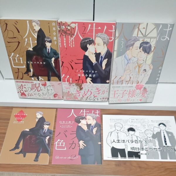 BLコミック 人生はバラ色か 全3巻 山本小鉄子