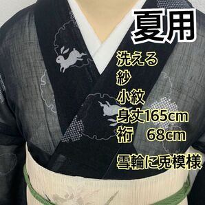 539◆着物ライフ満喫◆夏用 洗える 紗小紋 雪輪に兎模様