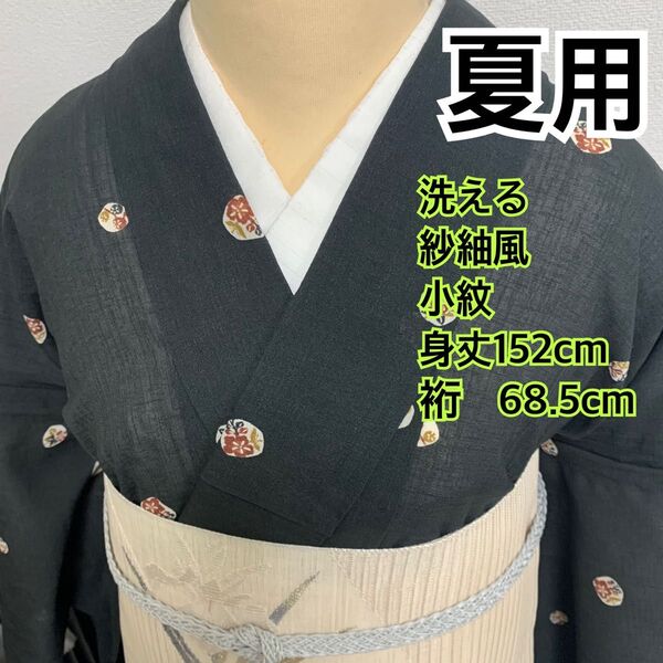563◆着物通好み◆夏用 洗える 紗紬小紋 黒地に丸紋