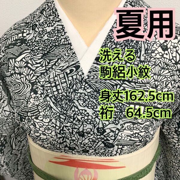 583◆着物ライフ満喫◆夏用洗える 駒絽小紋 風景模様