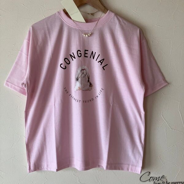 エヘカソポ わんちゃんtシャツ ロゴtシャツ Tシャツ ピンク ehka sopo シーズプリントtシャツ 新品