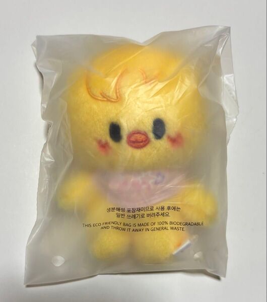 Stray Kids SKZOO PLUSH 10CM Ver. ポガリ ペンミ 5clock スキズ 新品 skzoo