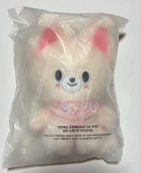 Stray Kids SKZOO PLUSH 10CM Ver. フォクシニー ペンミ 5clock スキズ 新品 skzoo