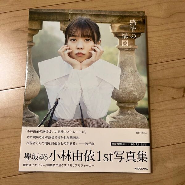 感情の構図 小林由依1st写真集 小林由依/著 鈴木心/撮影