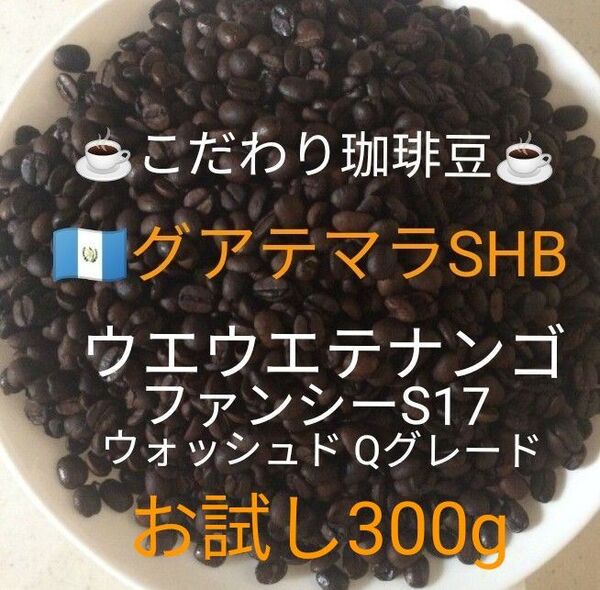こだわり珈琲豆 グアテマラSHB ファンシーS17 中深煎り お試し300g 自家焙煎 Qグレード ウォッシュド