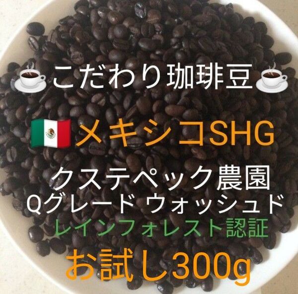 こだわり珈琲豆 メキシコSHG クステペック農園 お試し300g 中深煎り 自家焙煎 ウォッシュド レインフォレスト認証