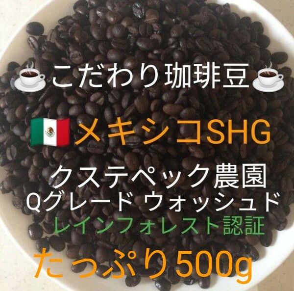 こだわり珈琲豆 メキシコSHG クステペック農園 たっぷり500g 中深煎り 自家焙煎 ウォッシュド レインフォレスト認証