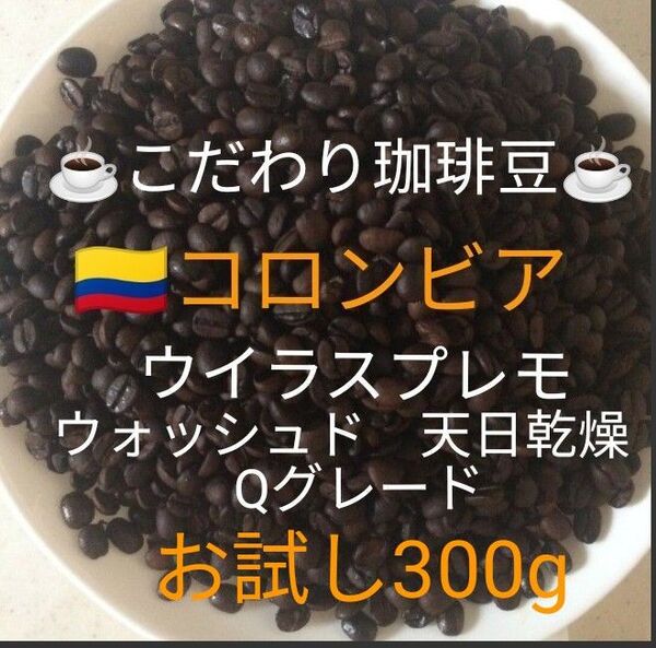 こだわり珈琲豆 コロンビア ウイラスプレモ Qグレード お試し300g 深煎り 自家焙煎 ウォッシュド 天日乾燥