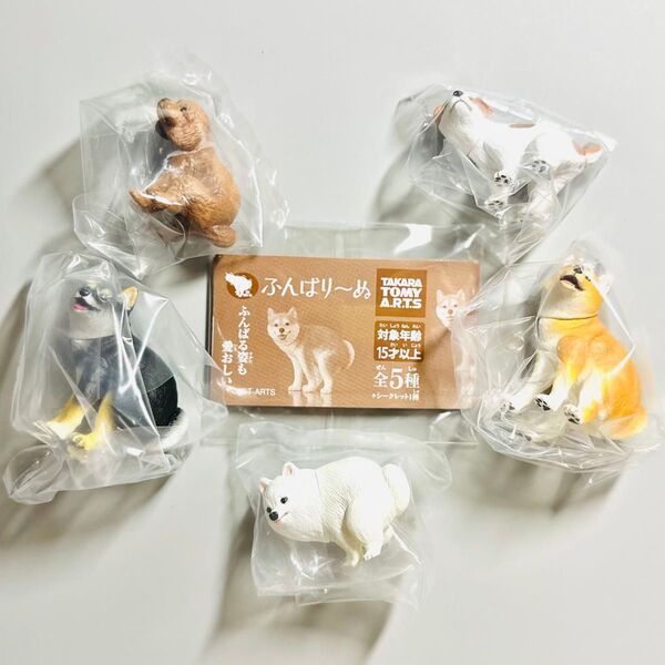 ★全5種コンプセット★ ふんばり~ぬ ガチャガチャ