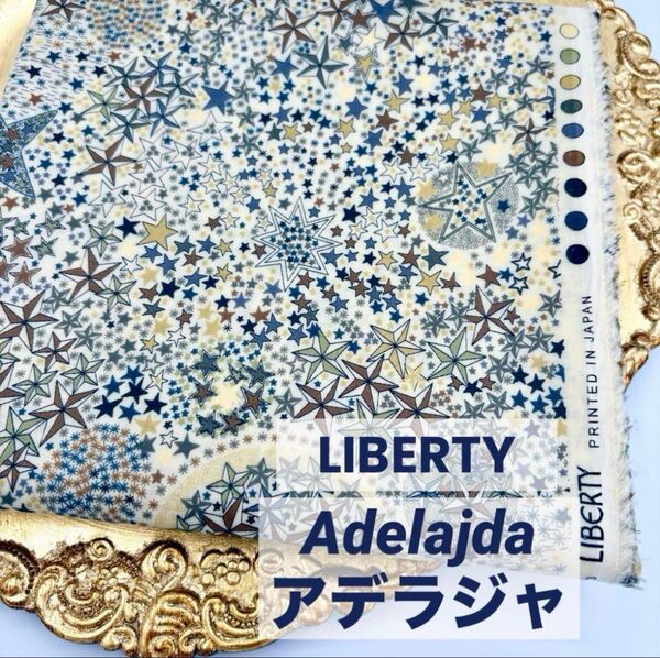 新品未使用 リバティプリント タナローン ラミネート Adelajda アデラジャ