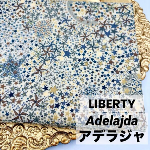 新品未使用 リバティプリント タナローン ラミネート Adelajda アデラジャ 国産