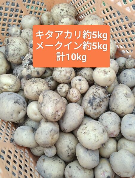 新じゃがいも 食べ比べセット キタアカリ メークイン じゃがいも 計10kg