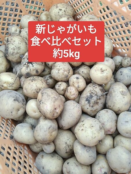 じゃがいも食べ比べ キタアカリ メークイン 約5kg 産地直接
