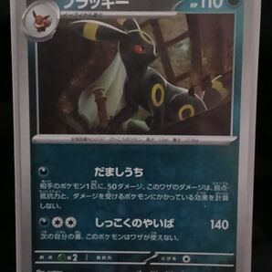 ポケモンカード マスターボールミラー ブラッキー 未使用