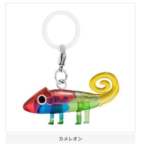 レオ・レオニズフレンズ めじるしアクセサリー カメレオン