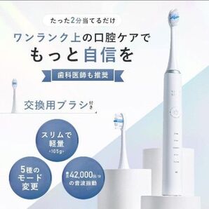 【歯科医師推奨】フィスホワイト 電動歯ブラシ 替えブラシ デュポン製 軽量 防水 IPX7 ハブラシ 歯磨き