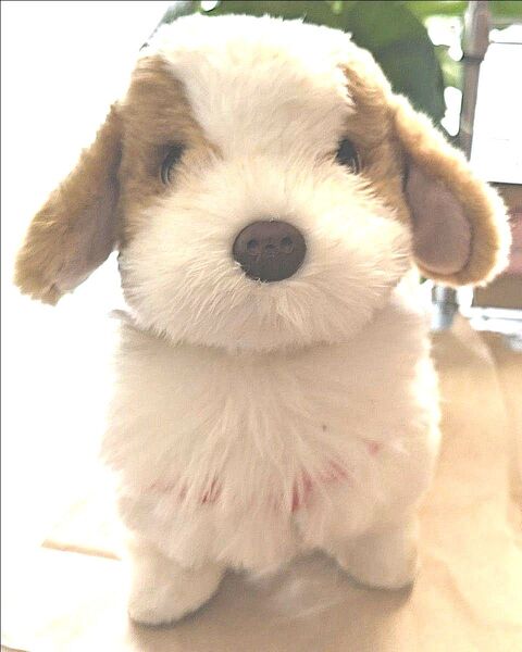 電動玩具愛犬てつ ☆☆お値下 げ中☆☆ 『こっちにおいで愛犬てつ』 ぬいぐるみ