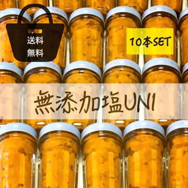 うに最安値塩雲丹2本3980円.1本1990円.送料込無添加うに.ウニ.雲丹.10本19900円.