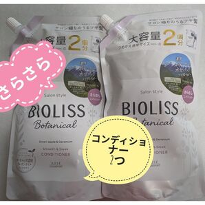 BIOLISS Botanical スムース&スリークコンディショナー つめかえ用 2個セット
