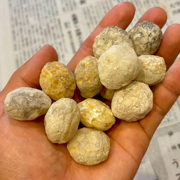 割れてない ジオード 天然水晶 原石 子供体験 イベント 晶洞 天然石 12個セット
