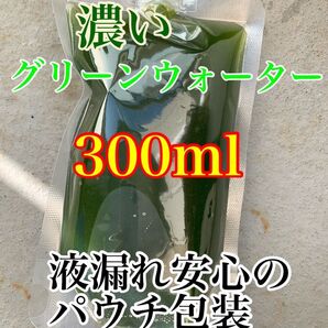 【パウチ包装】濃いグリーンウォーター300ml