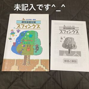 美品 スフィンクス 公立中高一貫校 適性検査対策 中学受験 理系 塾専売 教材 中高一貫 適性検査 中学入試