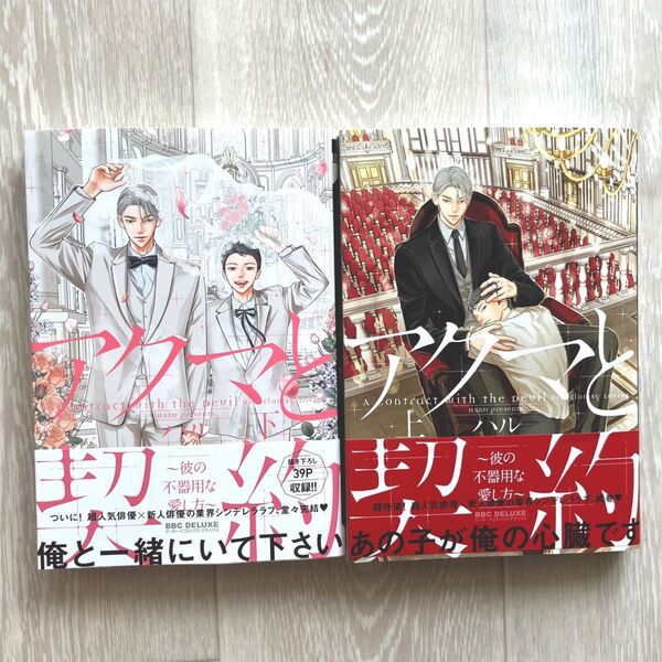 【ハル】アクマと契約〜彼の不器用な愛し方〜 上下巻 セット