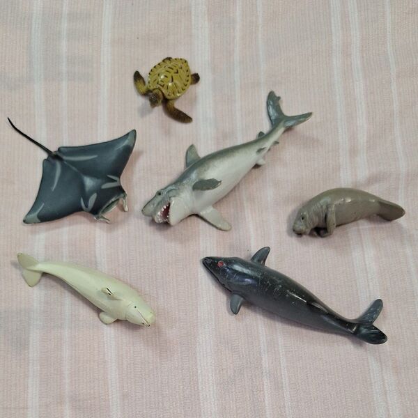 海の生き物 フィギュア セット