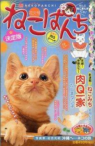 ねこぱんち No.35 花火号 特製もこもこシール付き まるごと新作よみきり ぜんぶねこまんがにゃ！ 中古 少年画報社