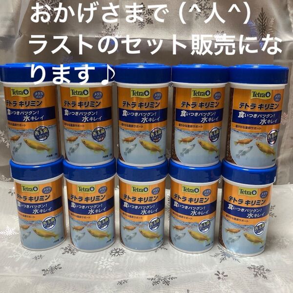 テトラキリミン メダカの餌 10個 まとめ売り メダカの餌 餌フレーク テトラ 川魚餌 メダカエサ