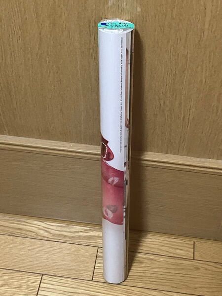 【新品未開封】希志あいの 2012年カレンダー 直筆サイン入りカレンダー AV女優 セクシー女優 恵比寿マスカッツ CL-410