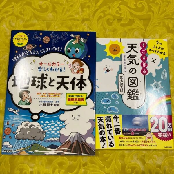 すごすぎる天気の図鑑 空のふしぎがすべてわかる! (空のふしぎがすべてわかる!) 荒木健太郎/著