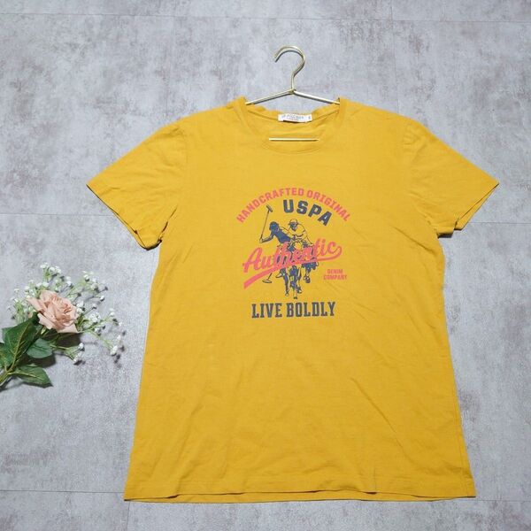 U.S. POLO ASSN. ポロ 大きいサイズ Tシャツ 半袖 2xl 3L メンズ レディース 男女兼用 ユニセックス