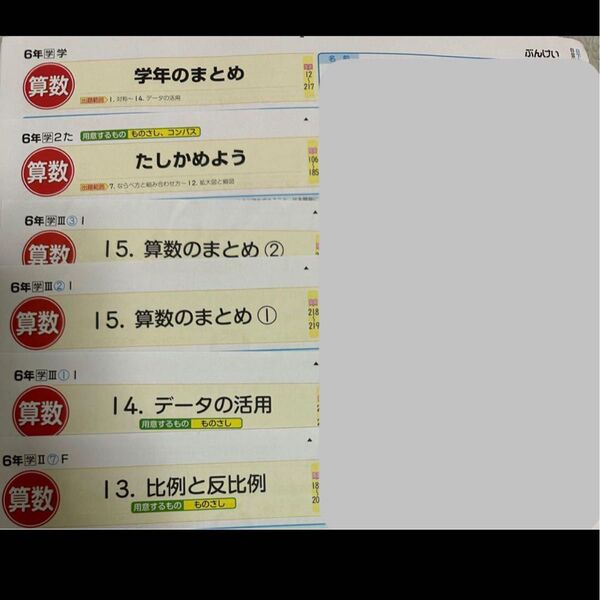 最新版2024〜2025年 小学校6年 算数カラーテスト