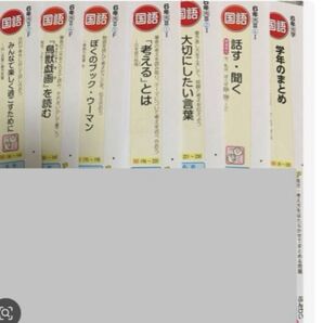 最新版2024〜2025 小学校6年国語カラーテスト