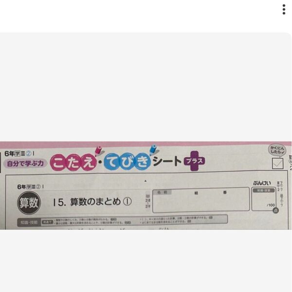 最新版2024〜2025小学校6年算数てびきシート